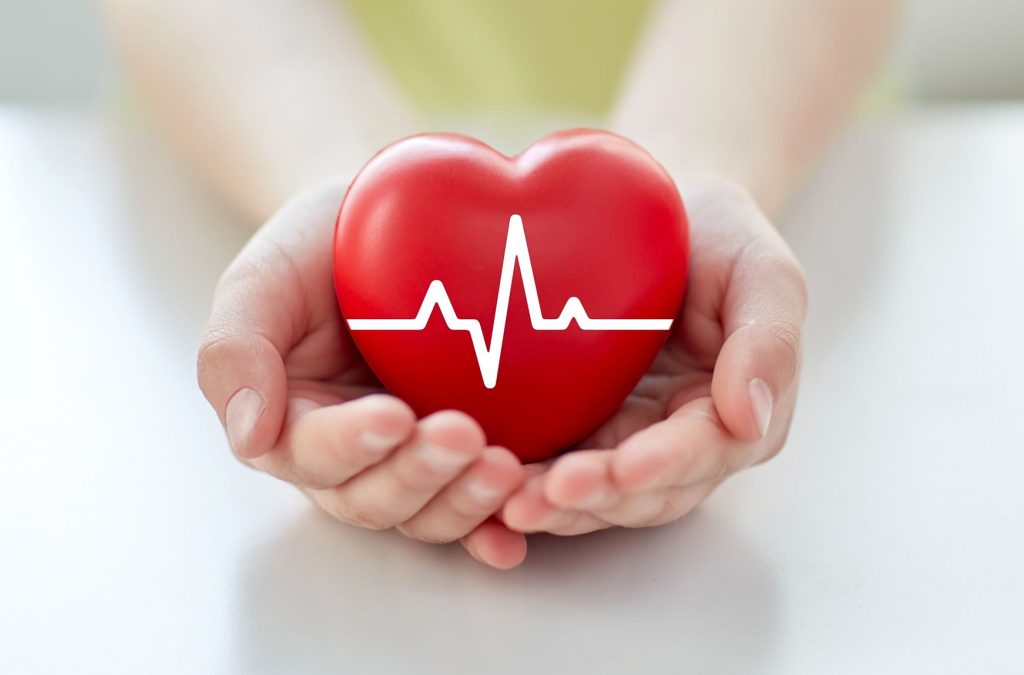 Hands cupped to hold a heart with EKG lines