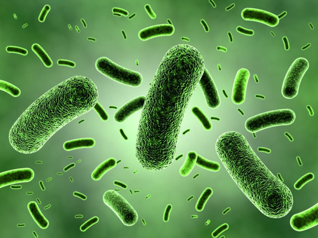 Green illustration of bacteria